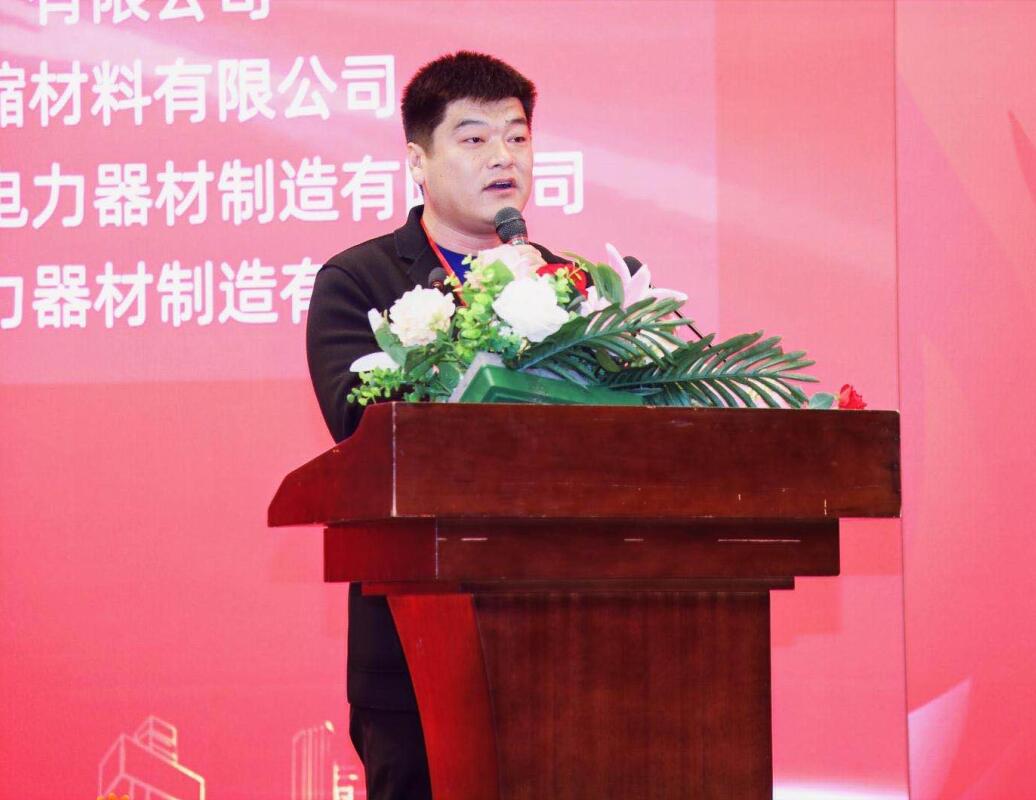 1000+行业精英齐聚电老虎网“中国电力电气创新大会”
